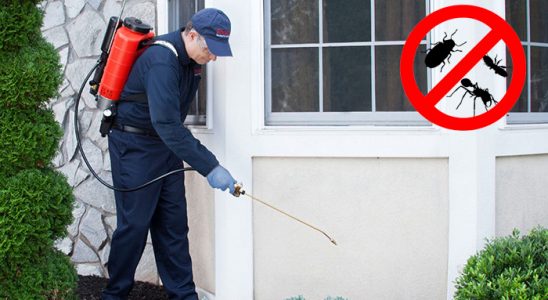 Otlukbeli Bit İlaçlama böcek ilaçlama ve haşere kontrolü — ilaclama-tr.com